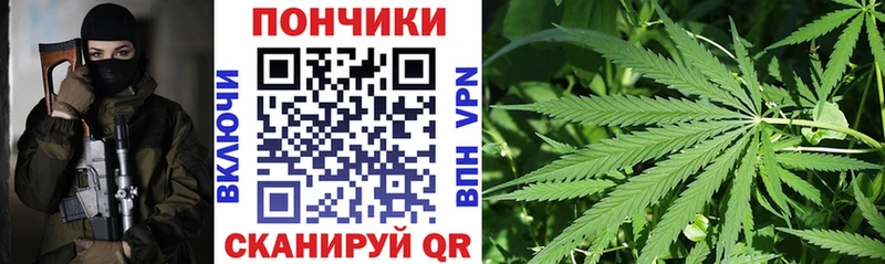 Шишки марихуана гибрид  Кадников 